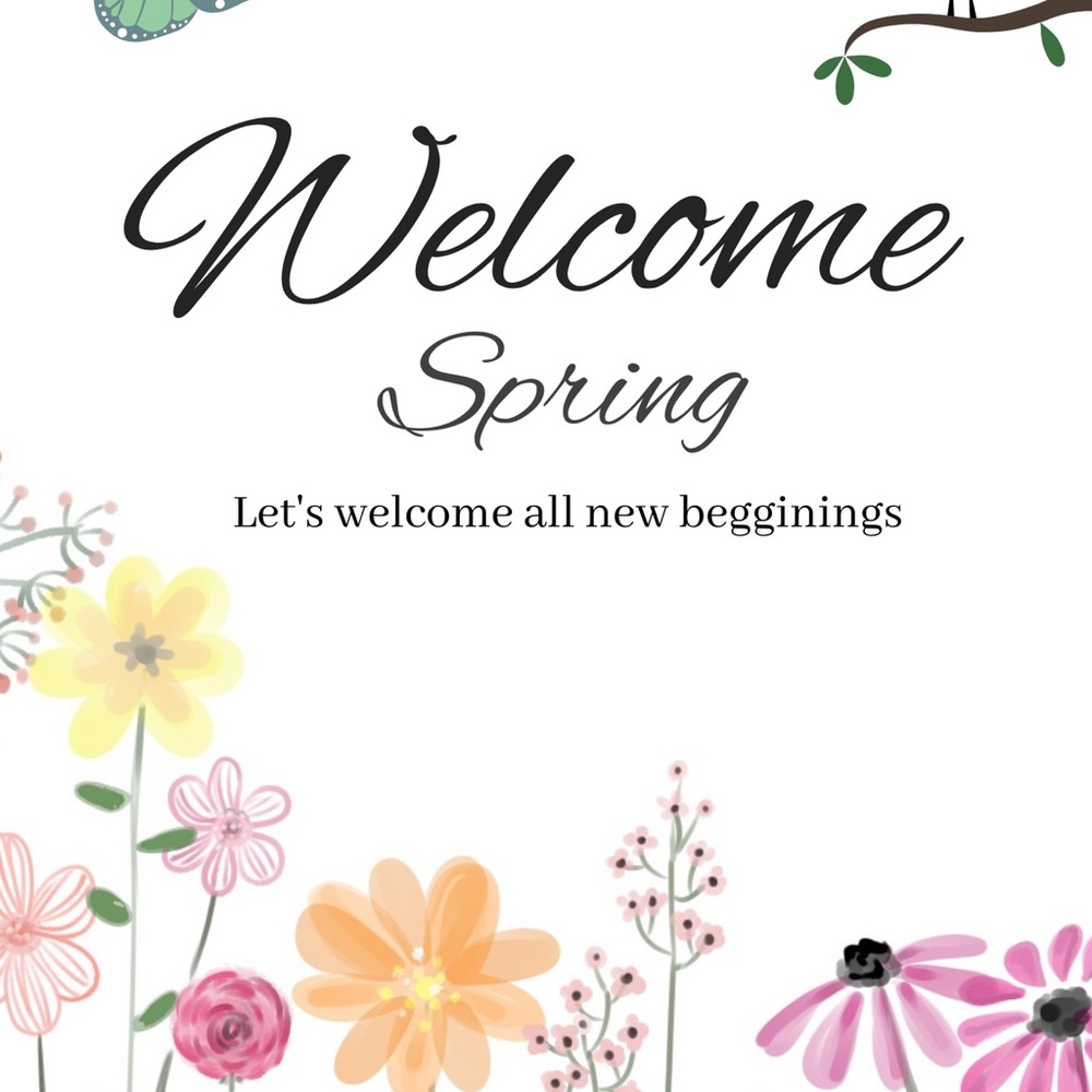 Unlisted Posh Live Women’s Spring